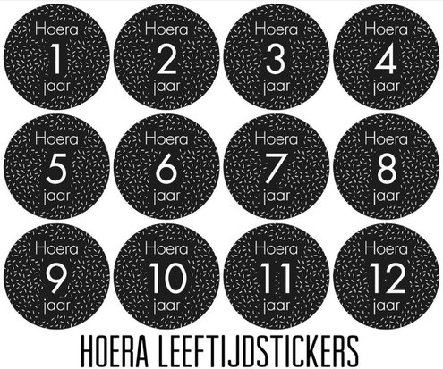 Sticker Hoera Leeftijdstickers set van 12