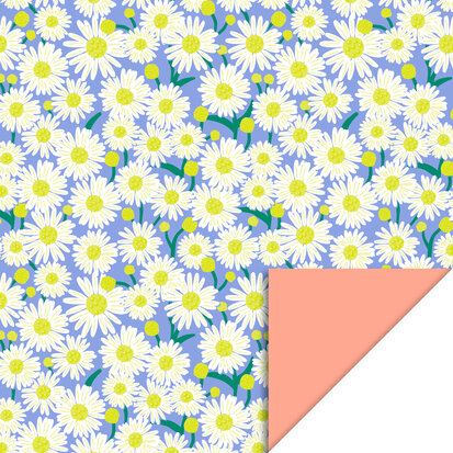 Cadeaupapier Daisy Blue - Salmon