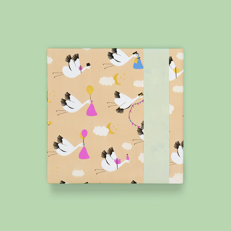 Cadeaupapier Baby Bird Beige - Pastel Mint