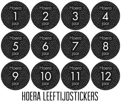 Sticker Hoera Leeftijdstickers set van 12