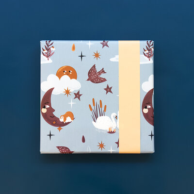 Cadeaupapier Baby Dreams Polar Blue - Peach