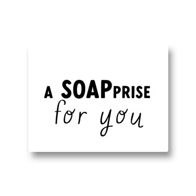 Lotsoflo A SOAPprise for you